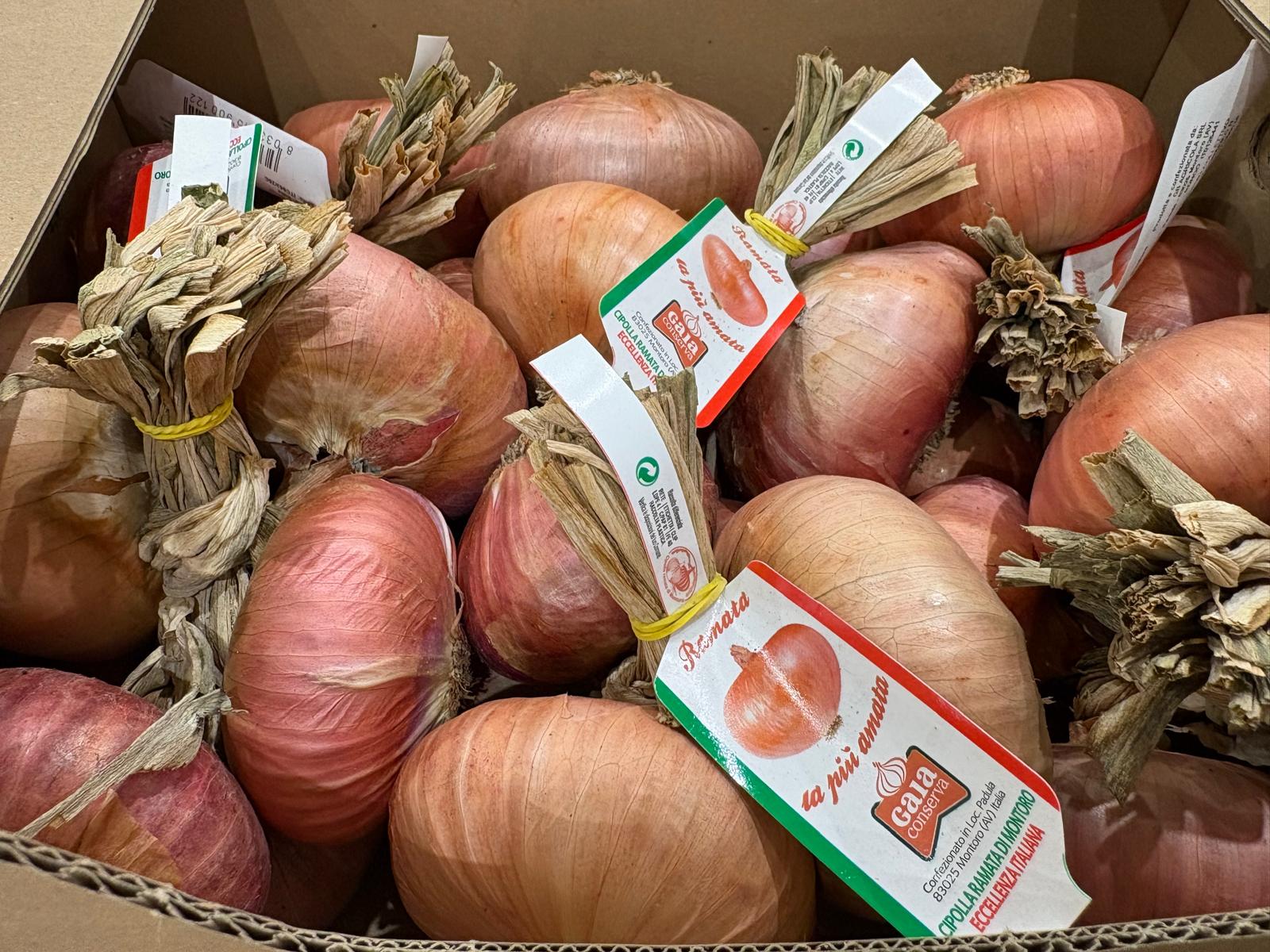 ONION DRY MONTORO