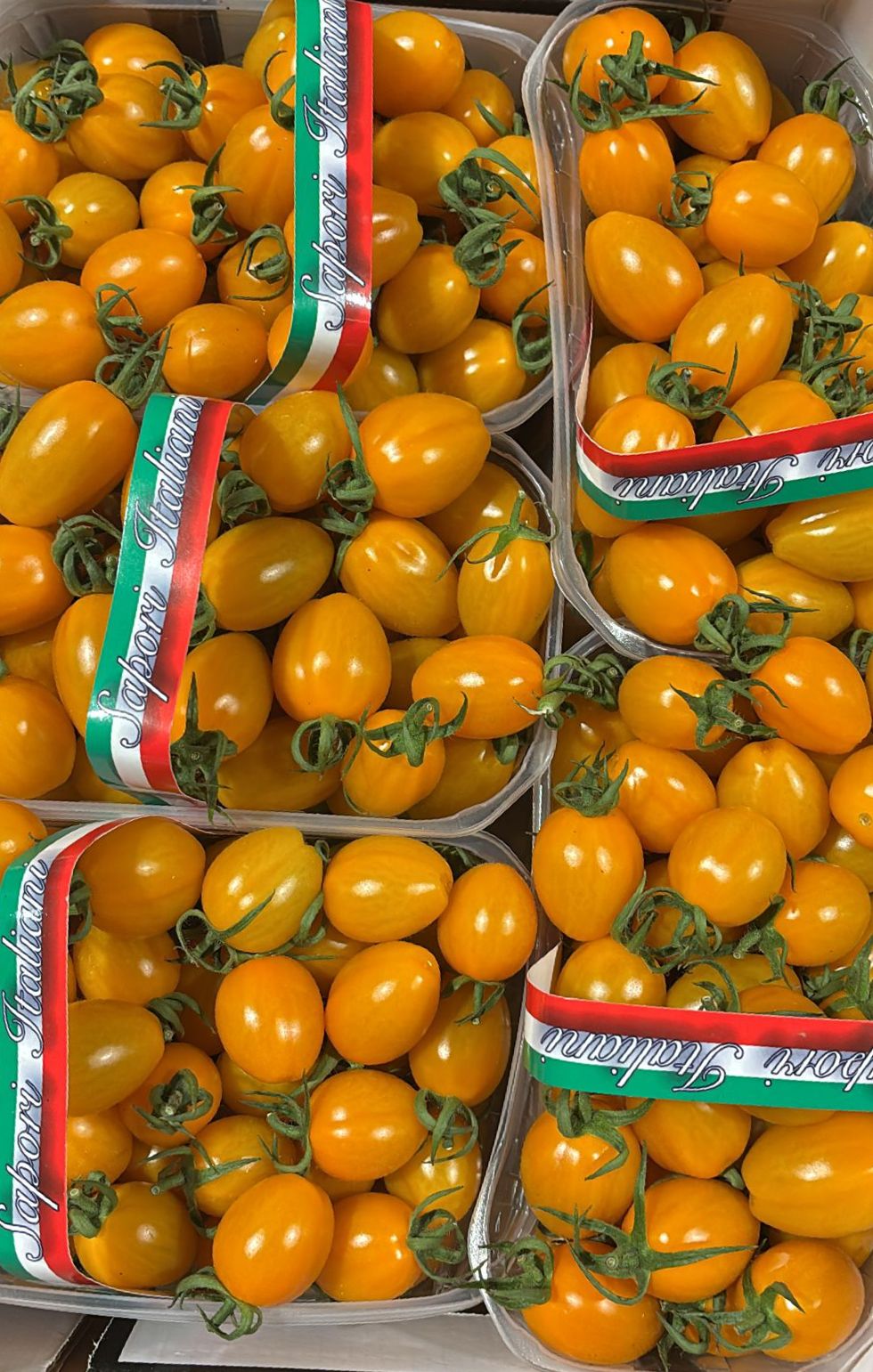 TOMATO BABY PLUM ORANGE