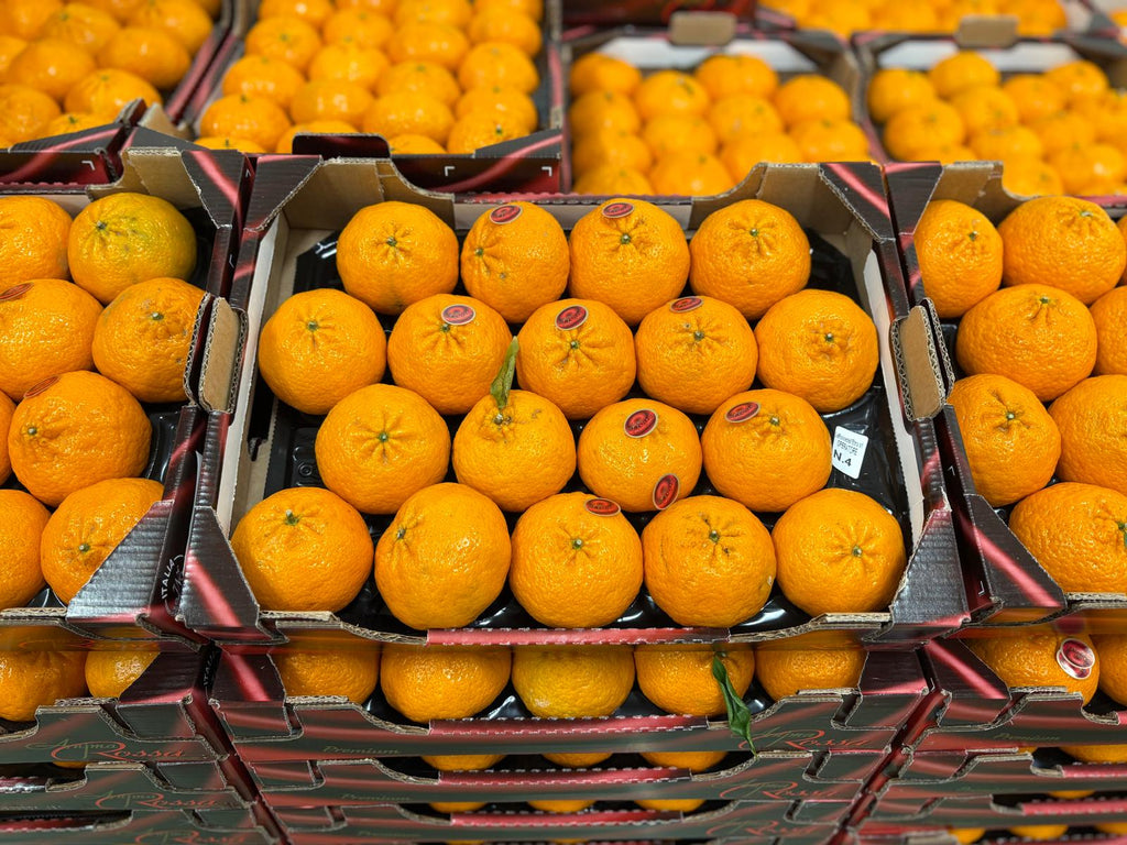 CLEMENTINES CAL. 2