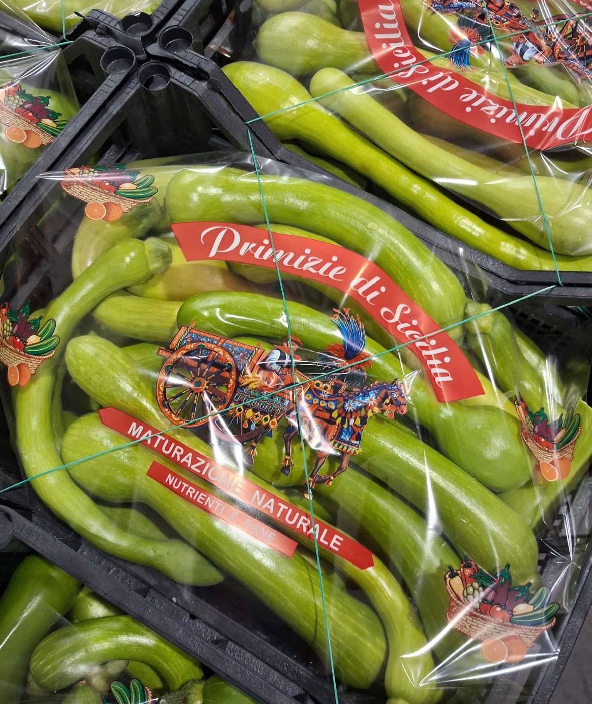 COURGETTES TROMPETTE