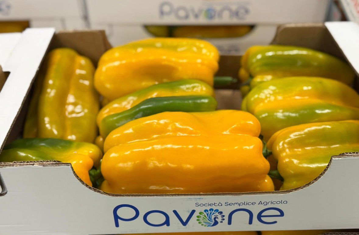 PEPPERS ITALIAN YELLOW