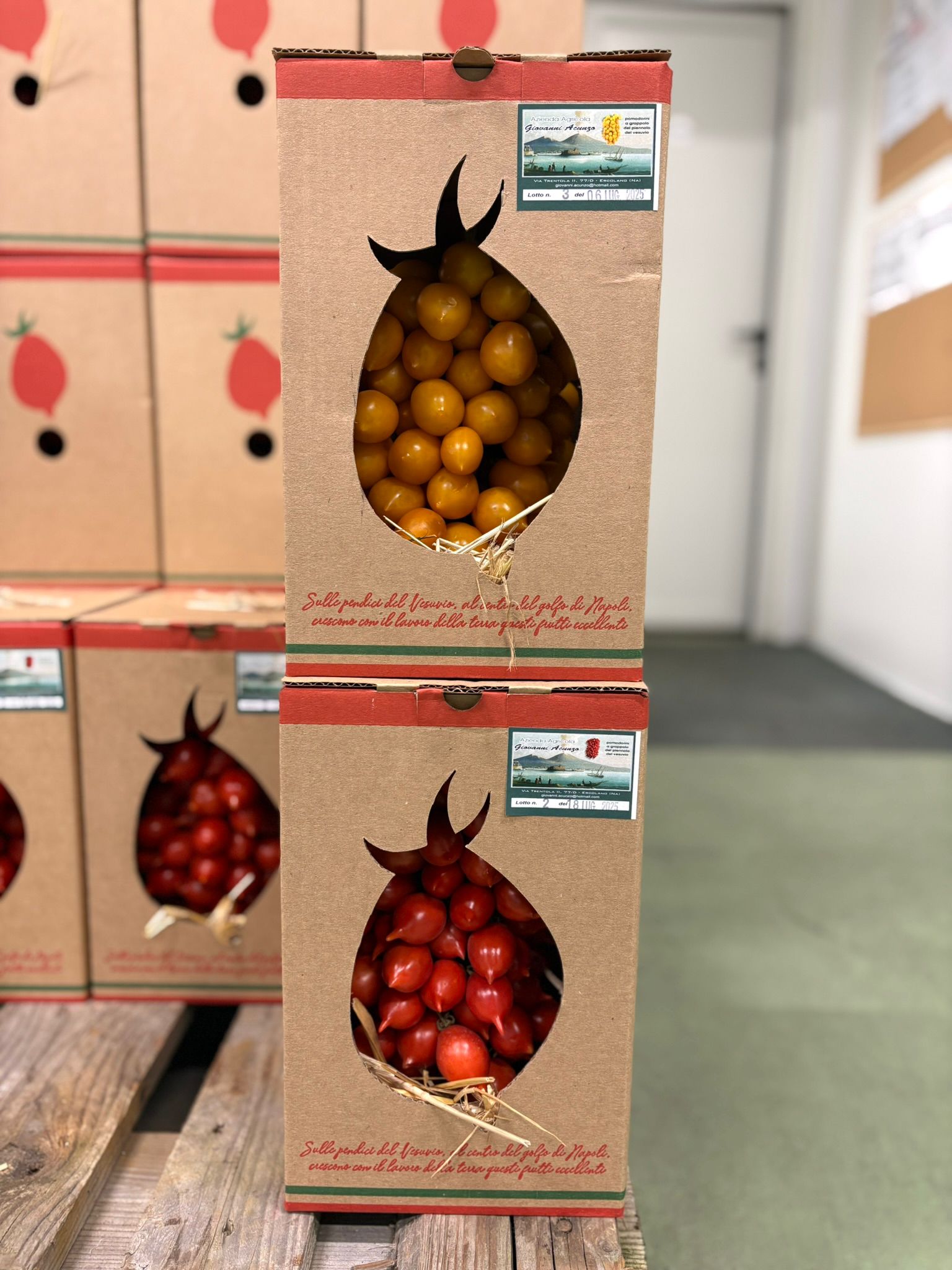 TOMATO PIENNOLO MIX