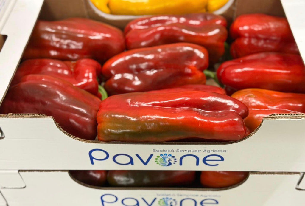PEPPERS ITALIAN RED