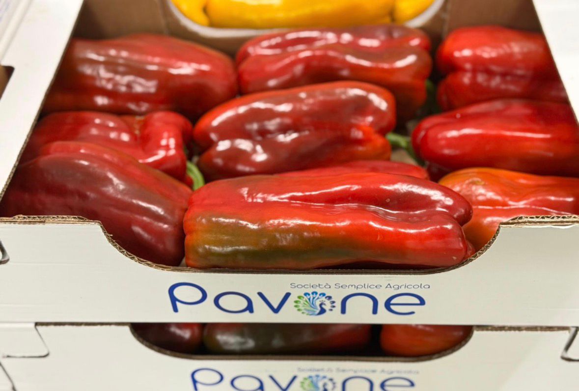 PEPPERS ITALIAN RED
