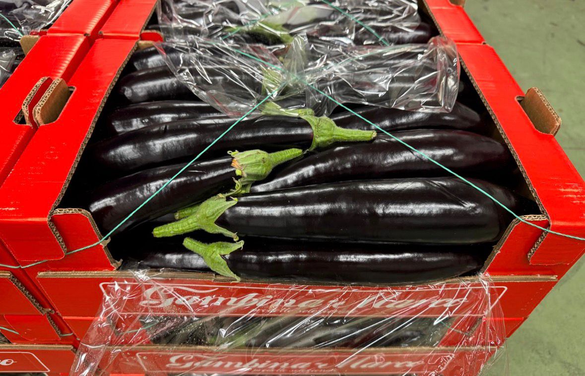 AUBERGINE BLACK LONG
