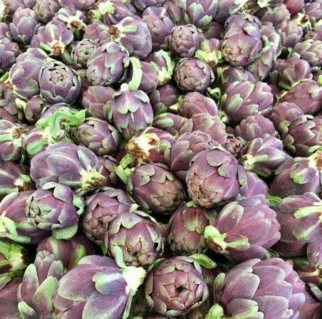 ARTICHOKES BABY LOOSE