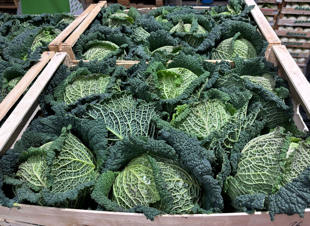 CABBAGE BLACK / CAVOLO NERO