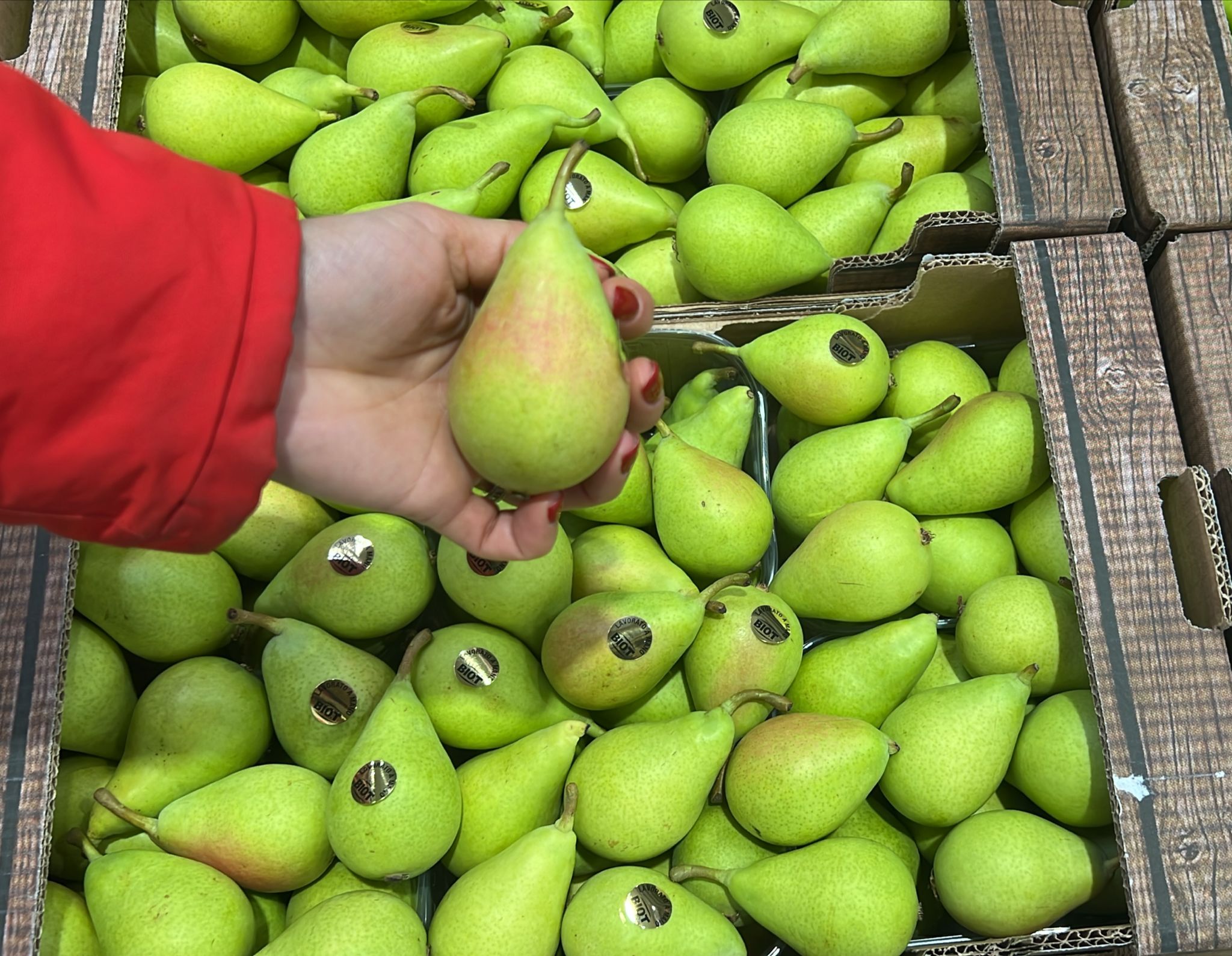 PEARS WILLIAM