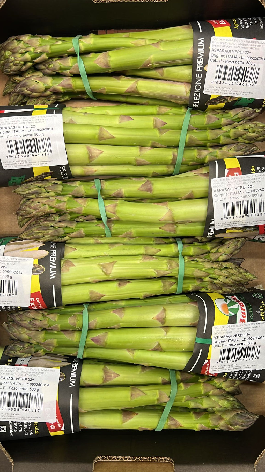 ASPARAGUS JUMBO GREEN CAL 22+