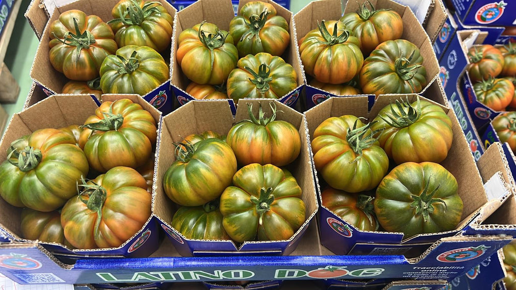 TOMATO MERINDA PUNNET