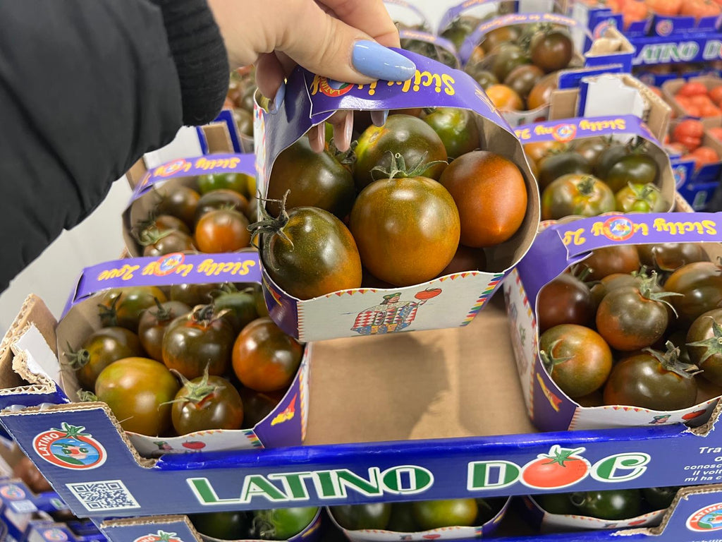 TOMATO CAMONE