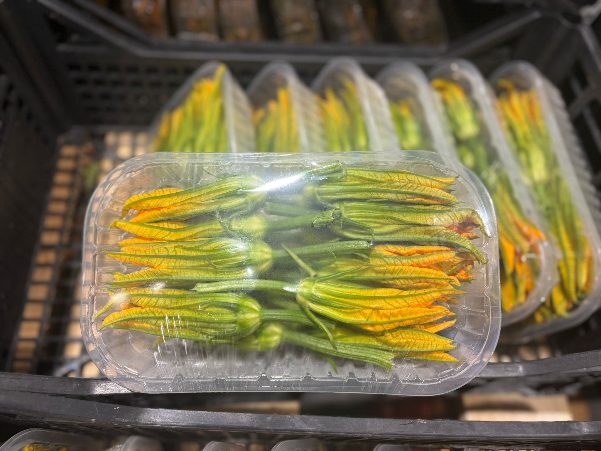 COURGETTE FLOWERS W/OUT JET X 4