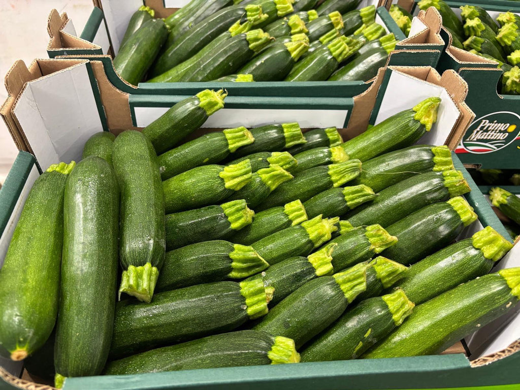 COURGETTES GREEN 14/18