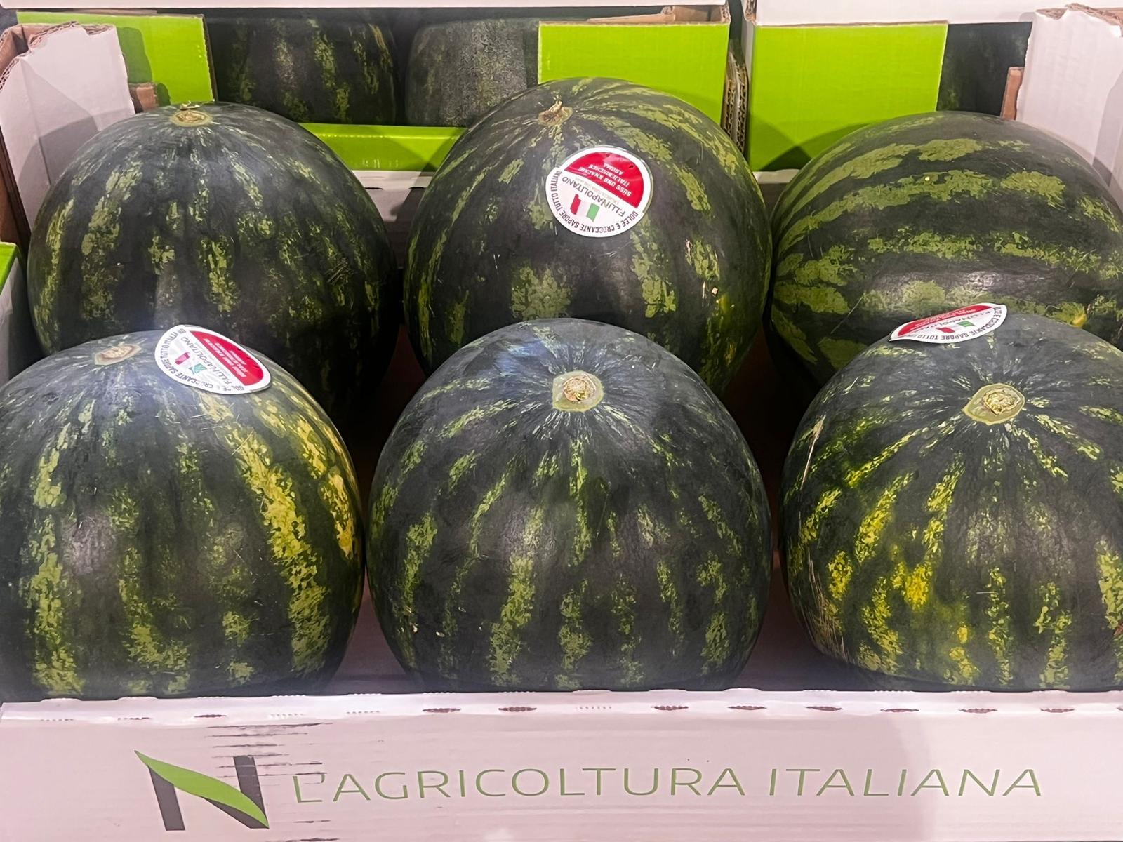 WATERMELON BOX