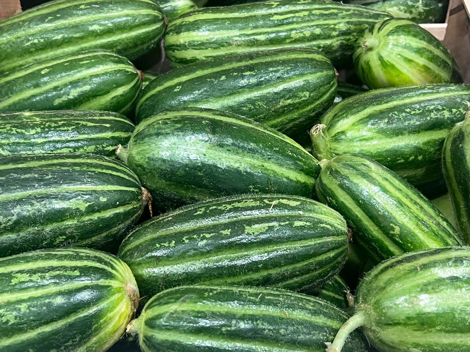 CUCUMBER CAROSELLO