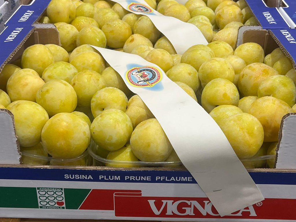 PLUM OCTOBER YELLOW