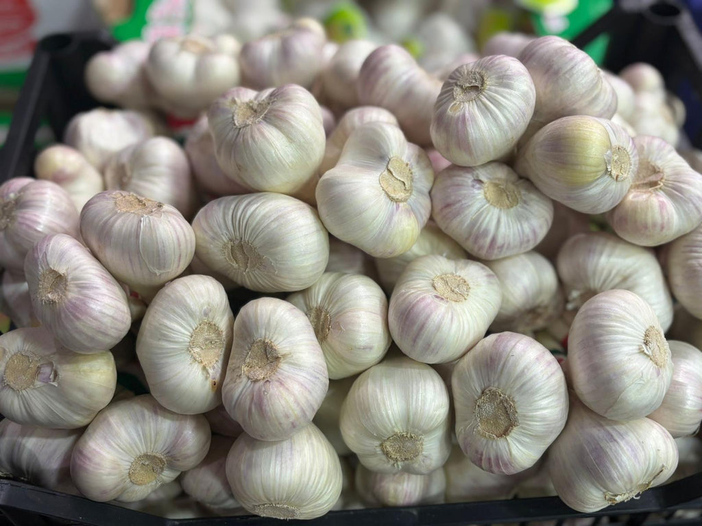 GARLIC WHITE