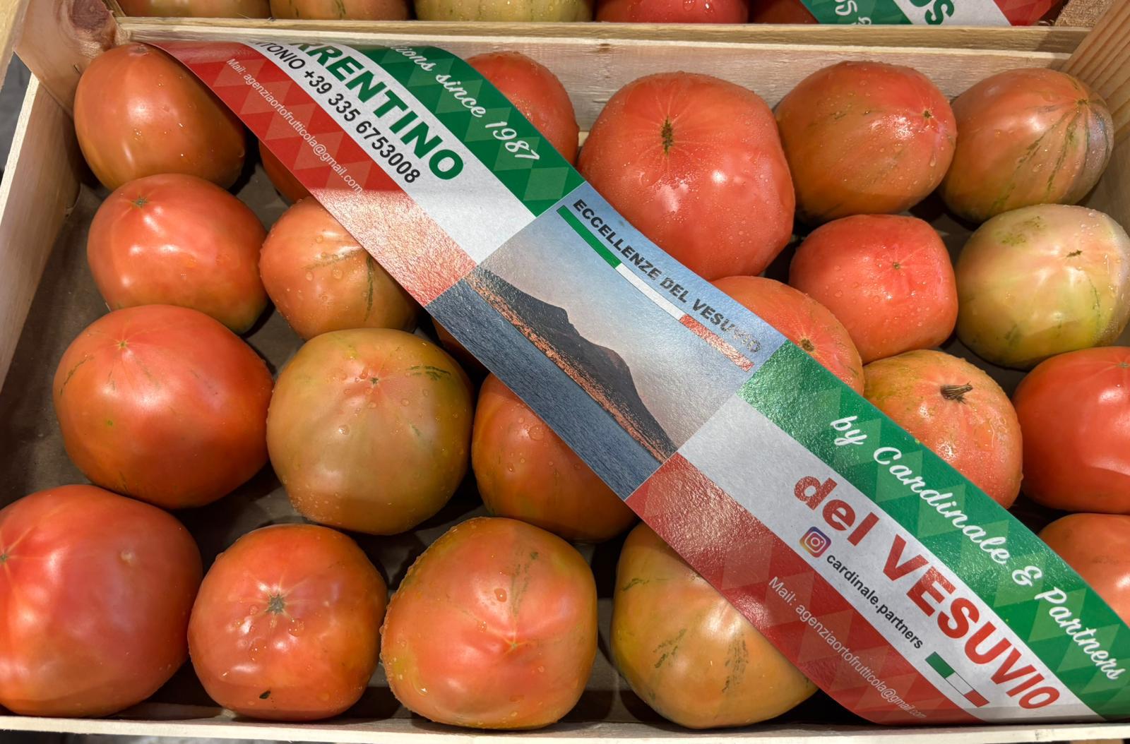 TOMATO OX HEART COSTIERA VESUVIO