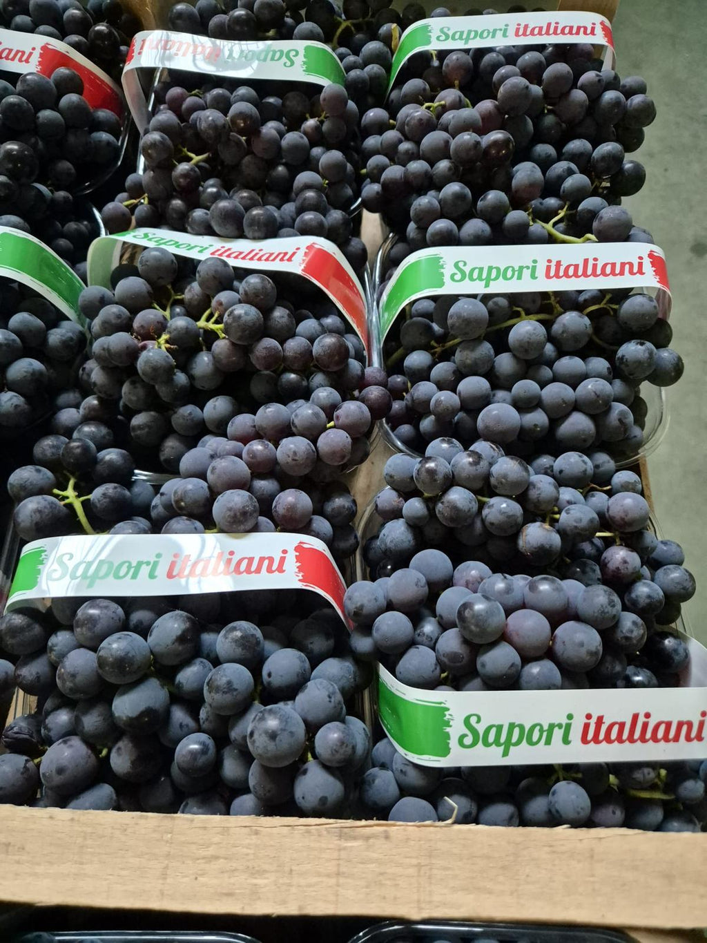 GRAPES BLACK SANGIOVESE