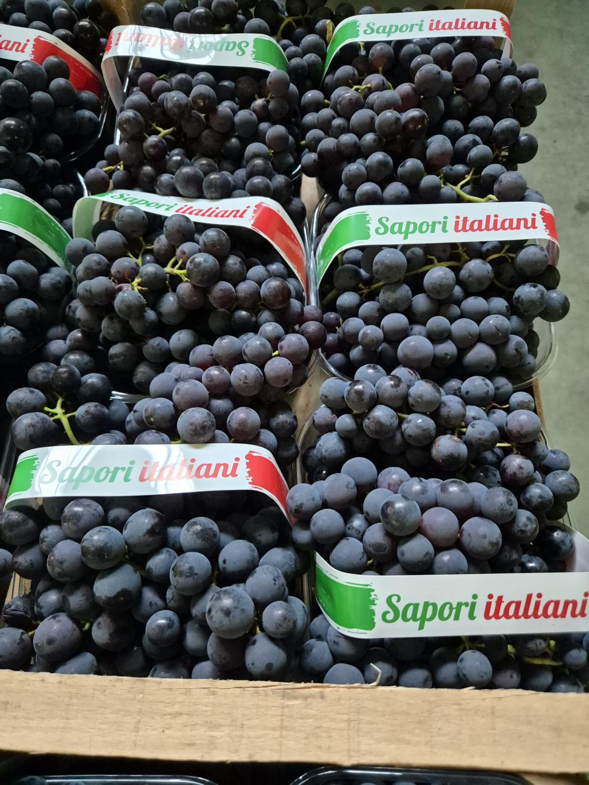GRAPES BLACK SANGIOVESE