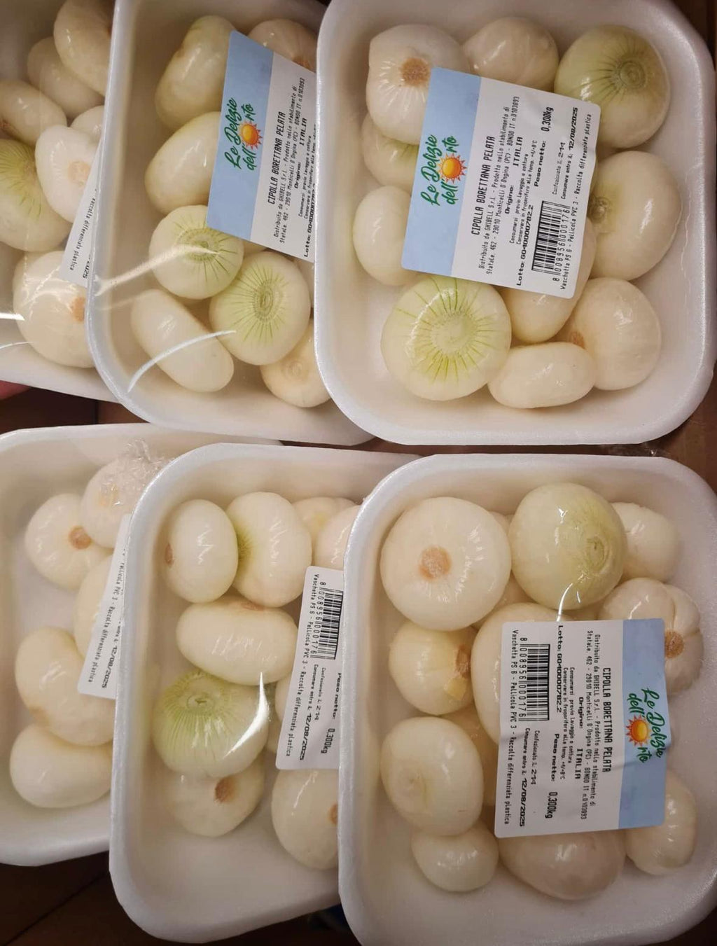 ONION BORETTANE BOX 6 PUNNETS