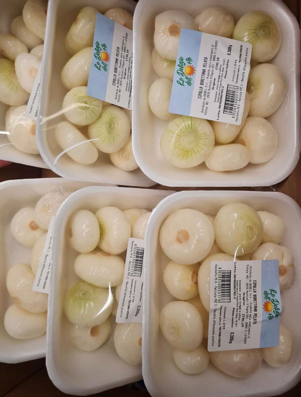 ONION BORETTANE BOX 6 PUNNETS