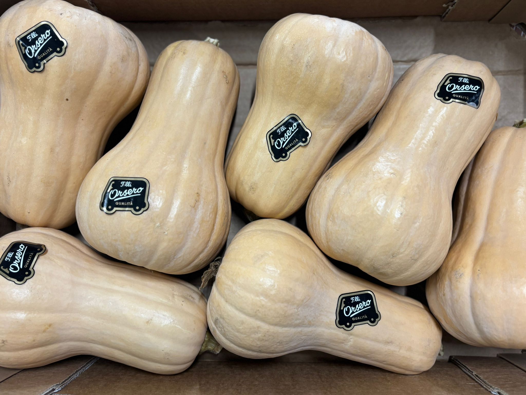 SQUASH BUTTERNUT