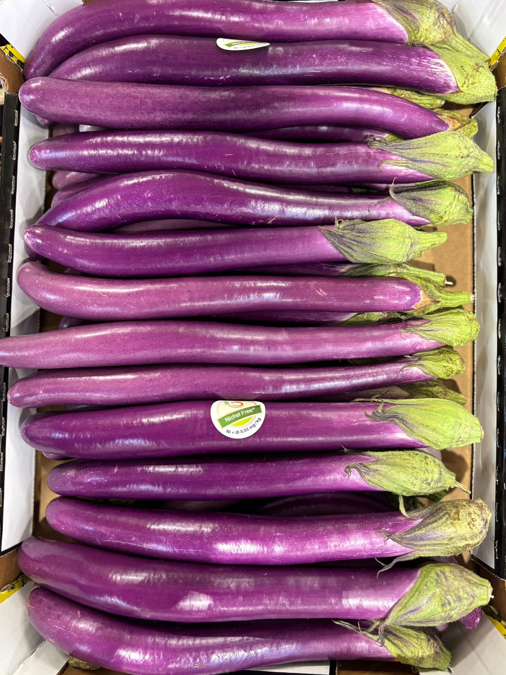 AUBERGINE PERLINA 10 X 300GR