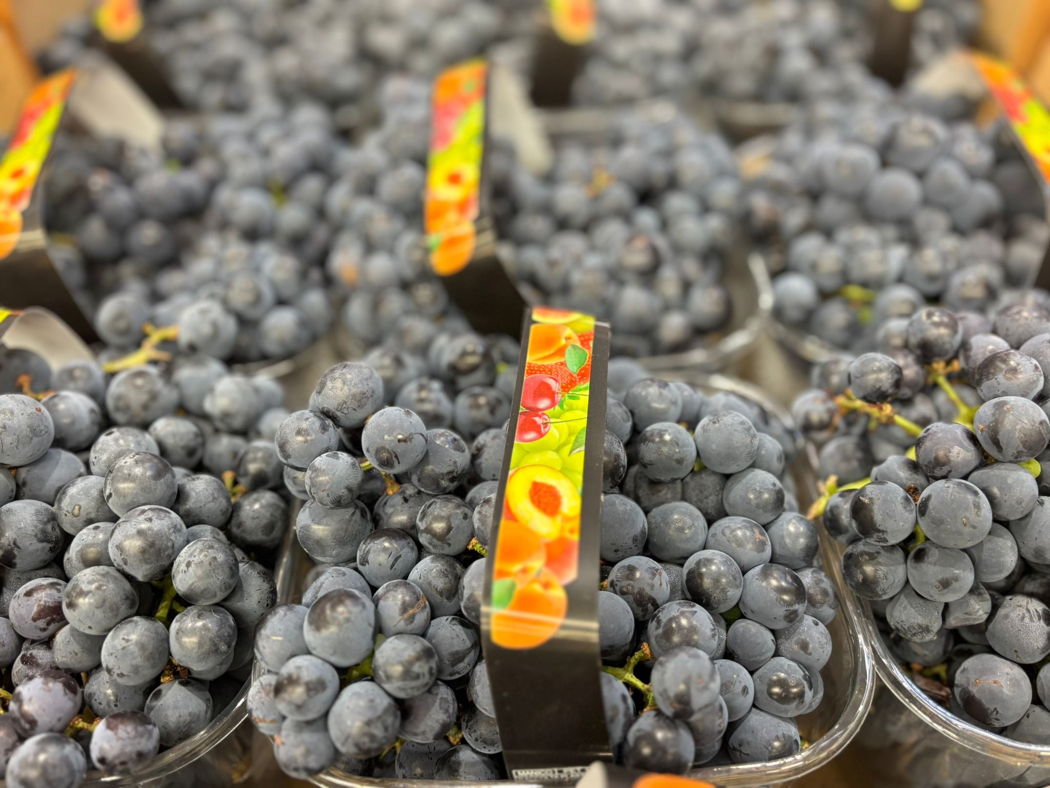 GRAPES BLACK MAGIC