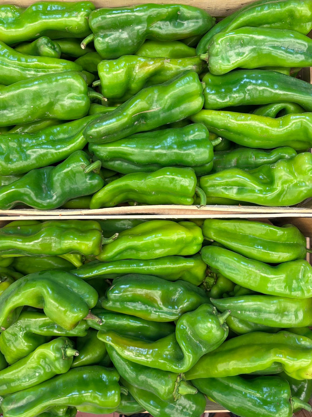 PEPPERS GREEN