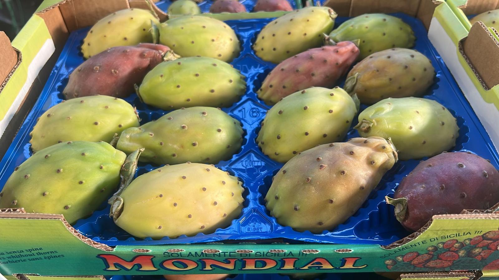 PEARS PRICKLY CAL. 16