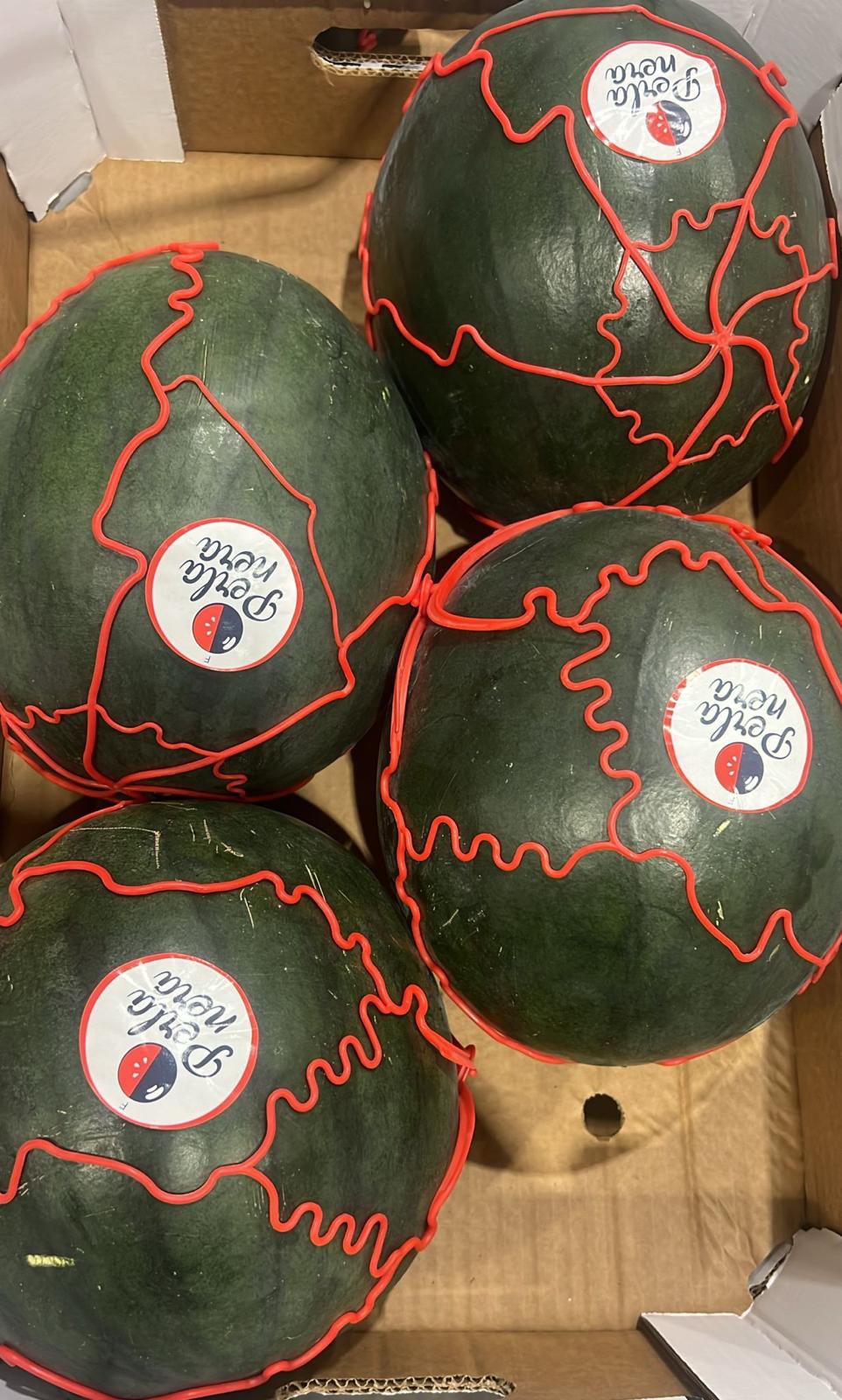 WATERMELON PERLA NERA
