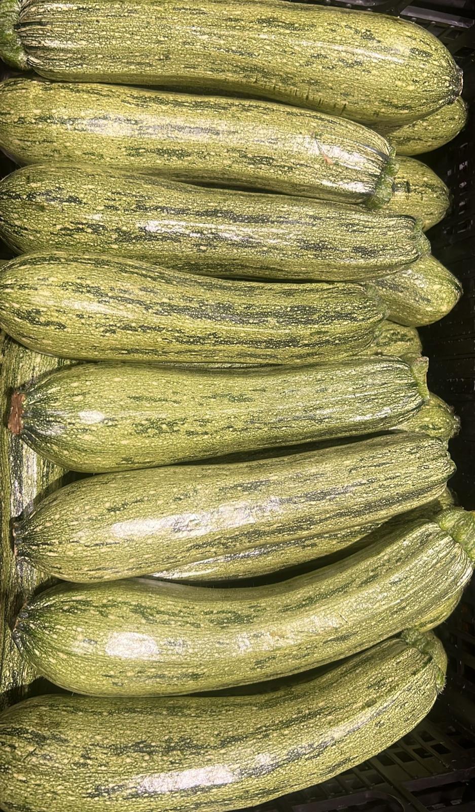 COURGETTES WHITE