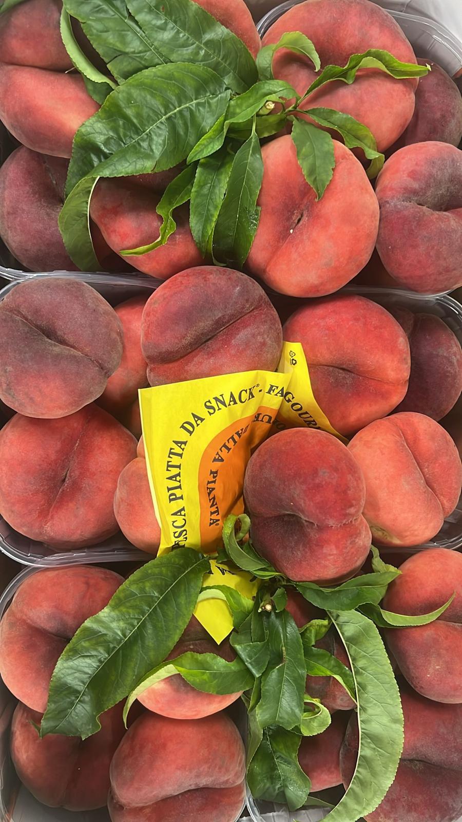 PEACH FLAT