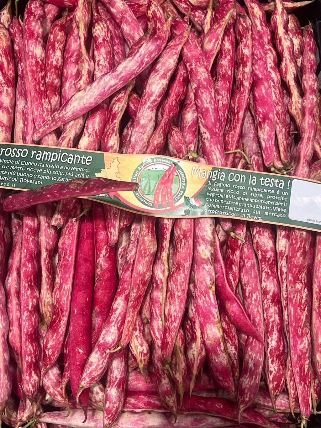 BORLOTTI FRESH