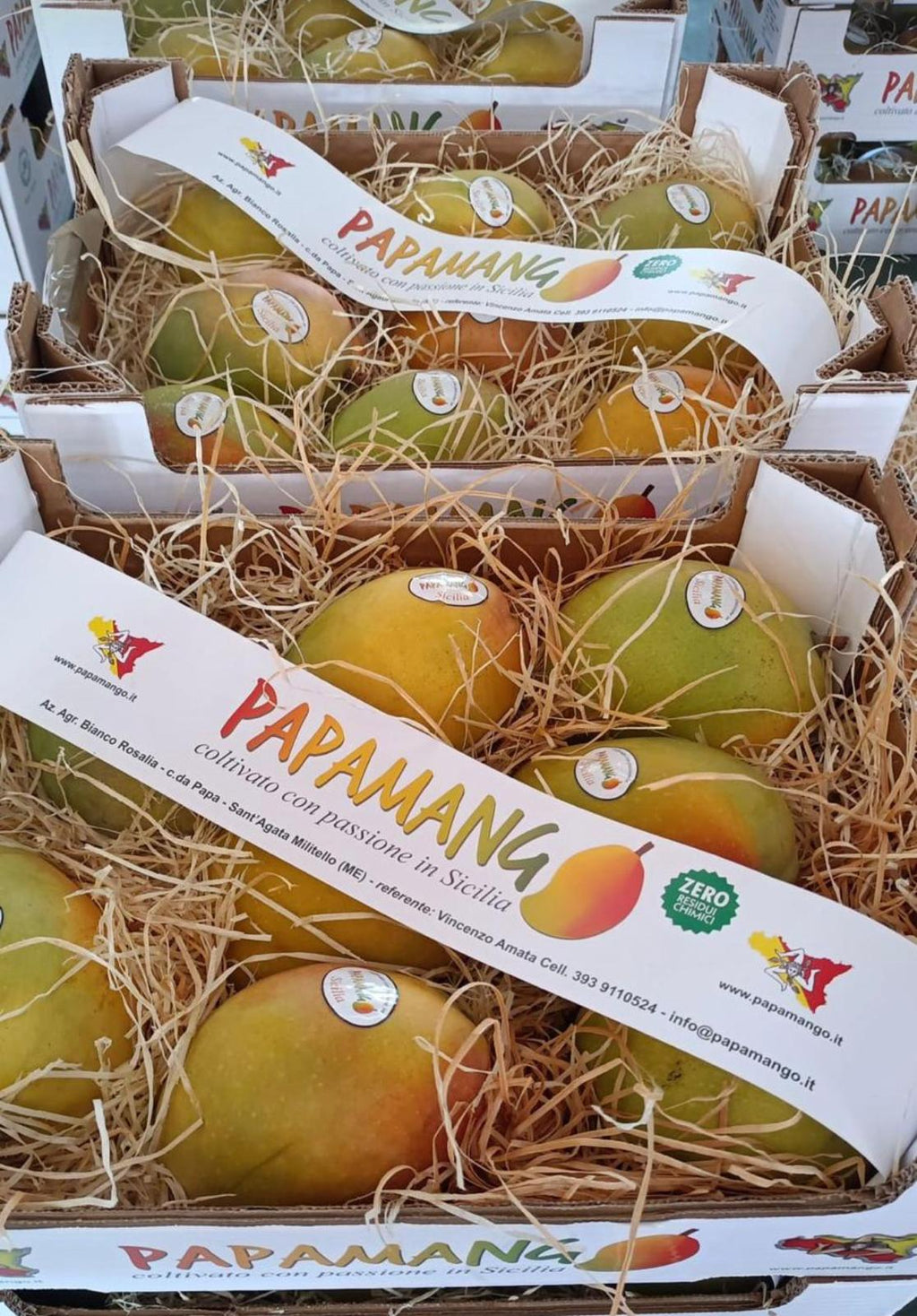 PAPAYA ITALIAN