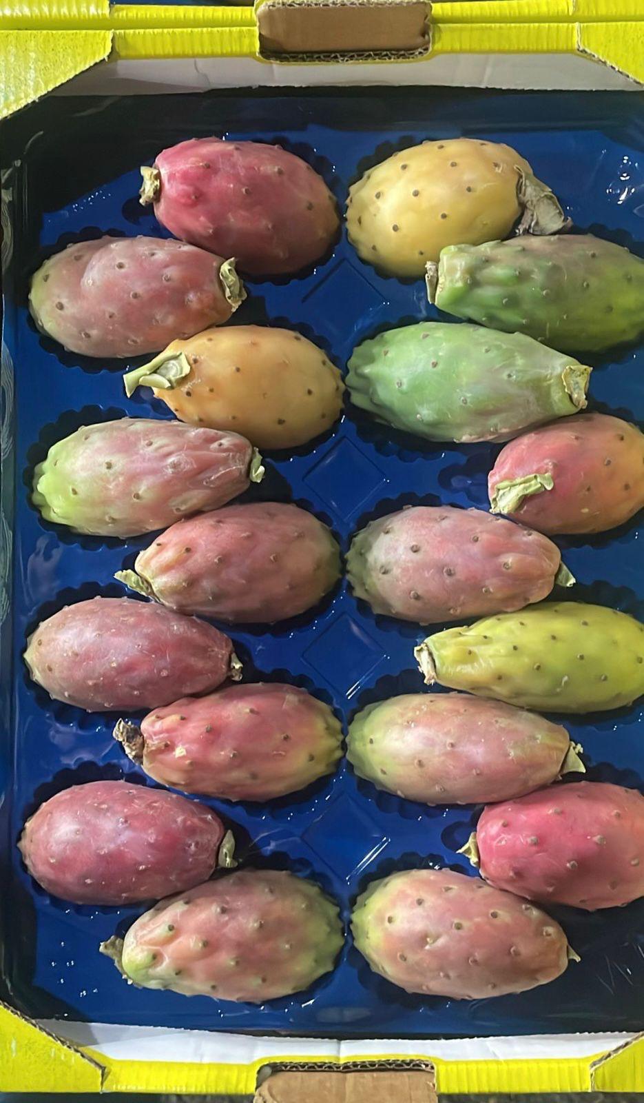 PEARS PRICKLY CAL. 18