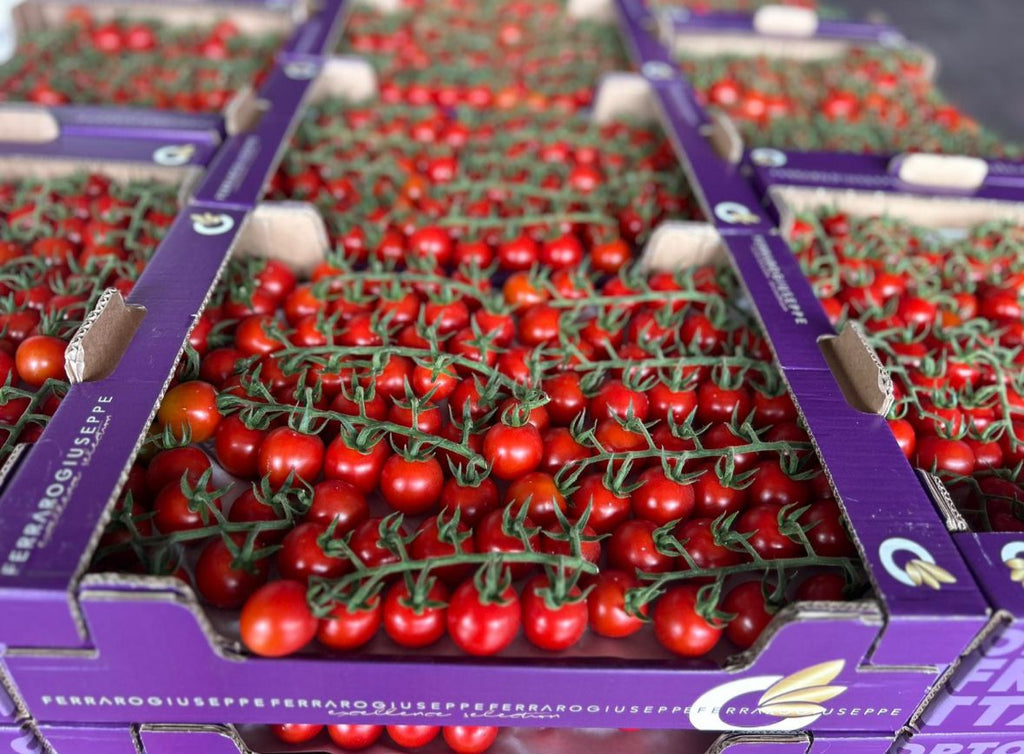 TOMATO BABY PLUM ON THE VINE DEMETRIO