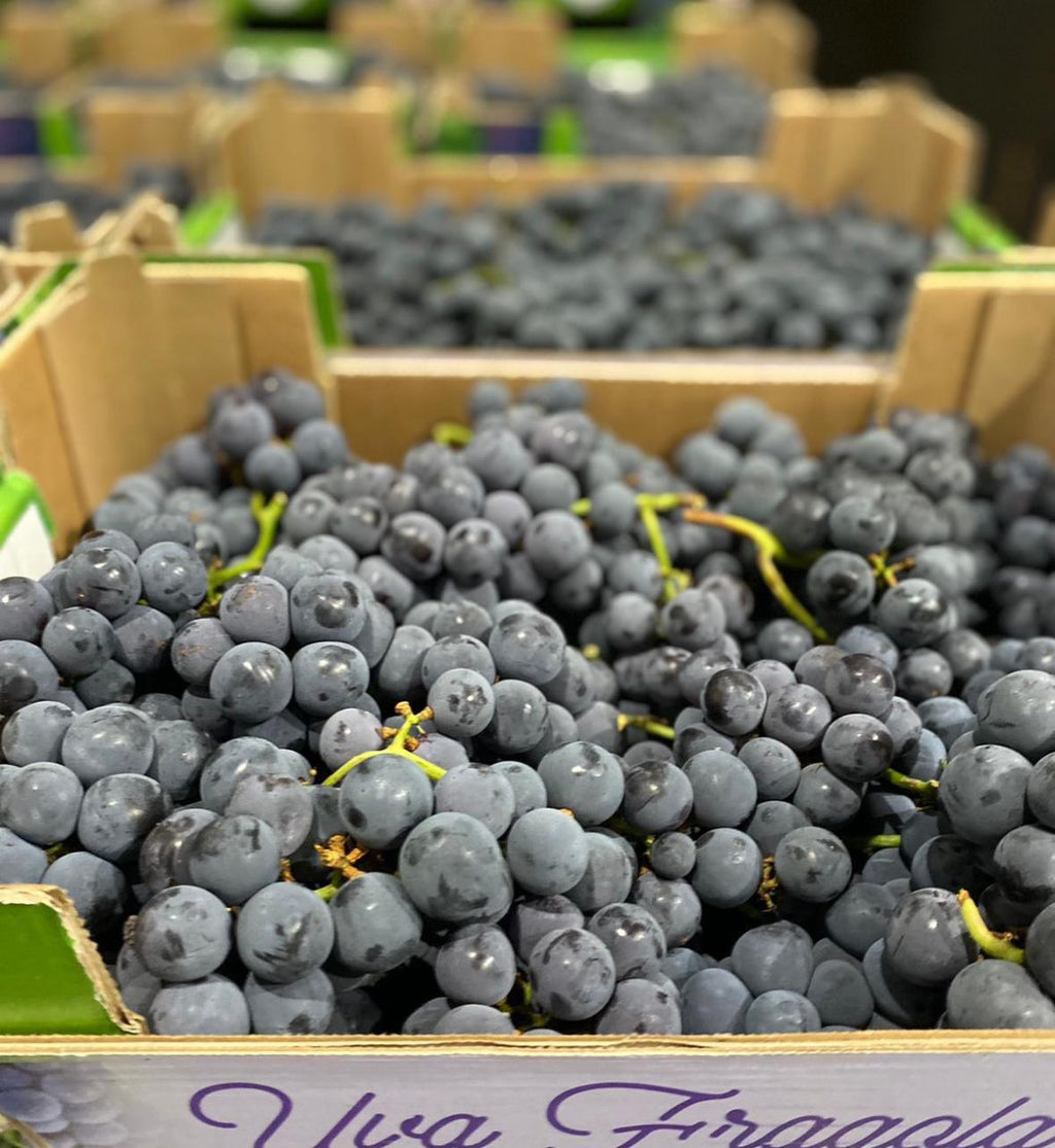GRAPES BLACK MONTEPULCIANO