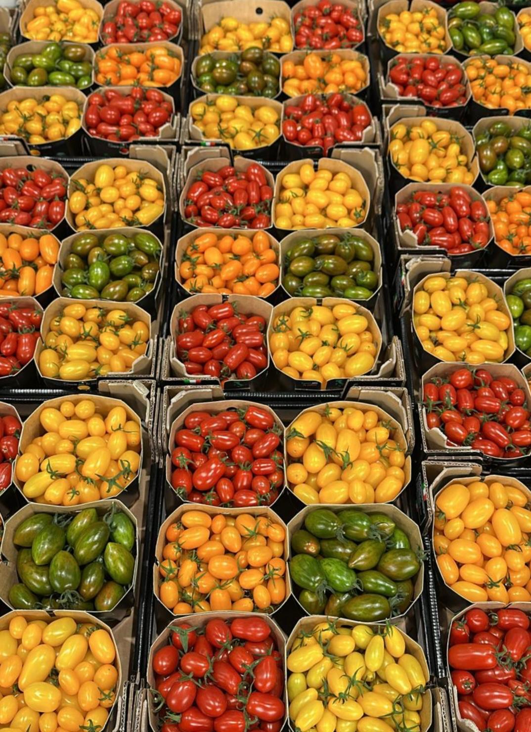 TOMATO HERITAGE