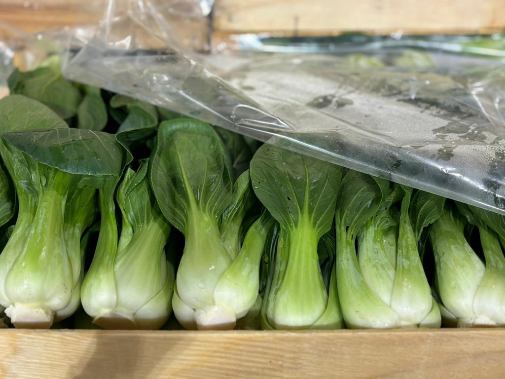 PAK CHOI