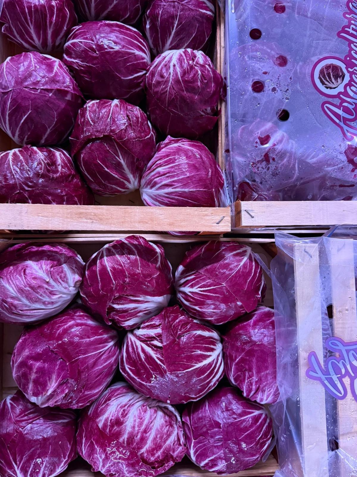 RADICCHIO ROUND X9