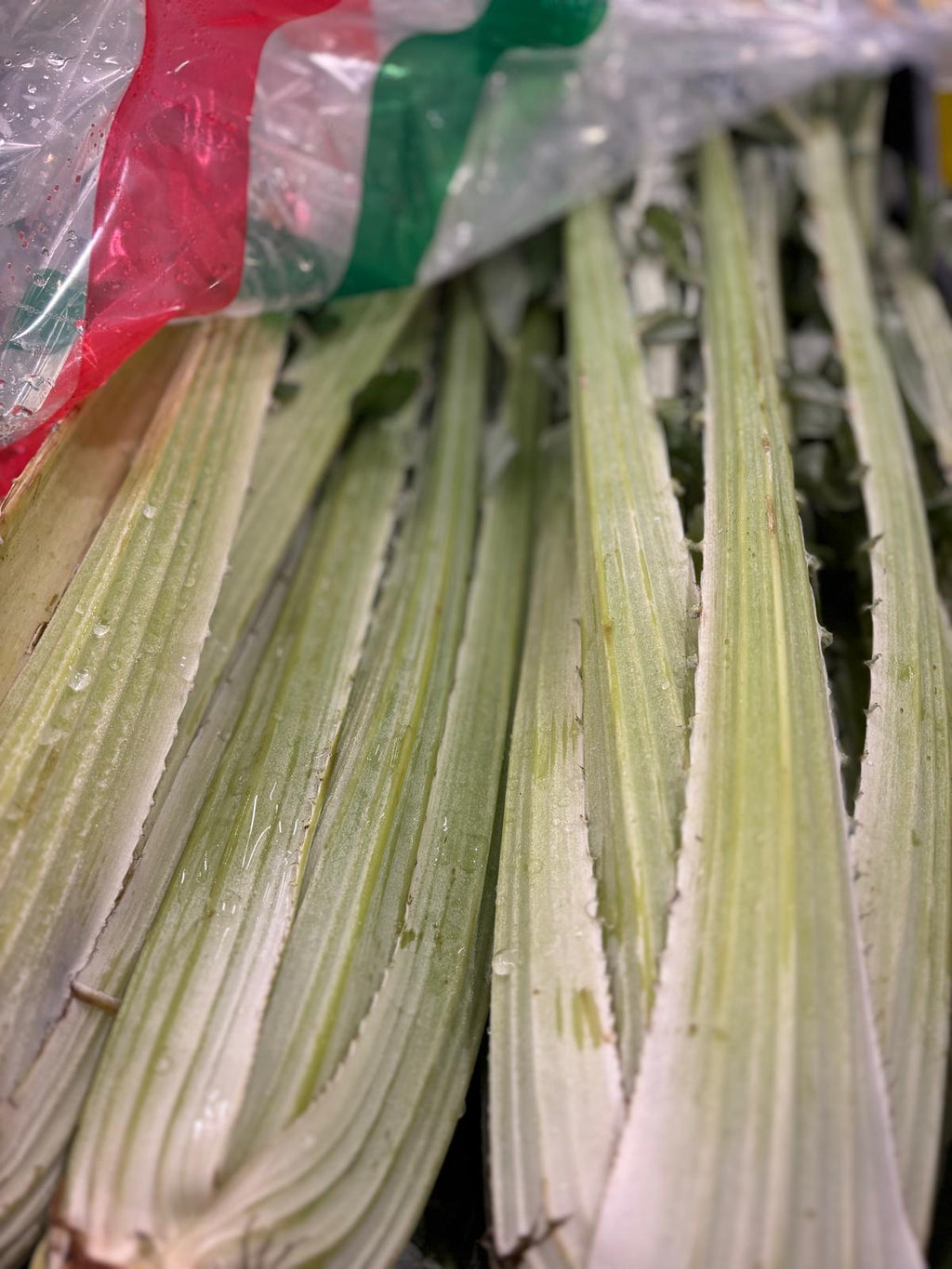 CARDOON