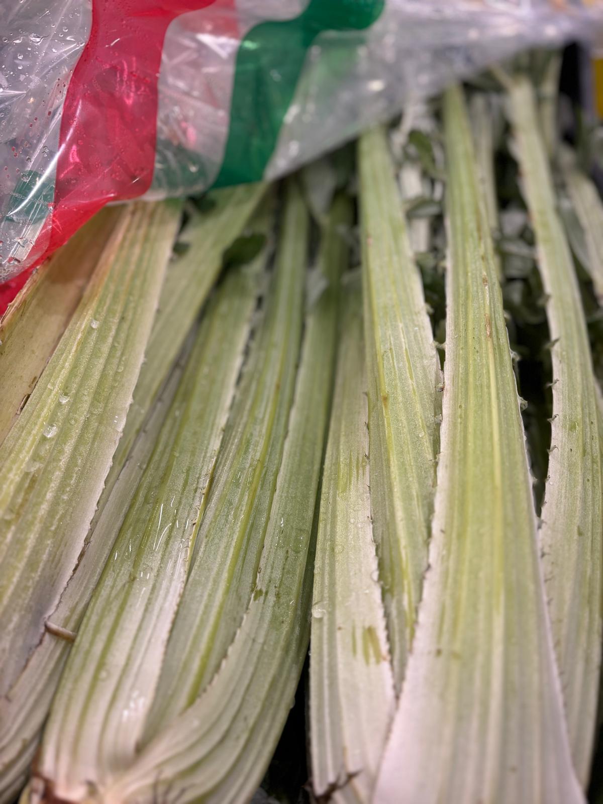CARDOON