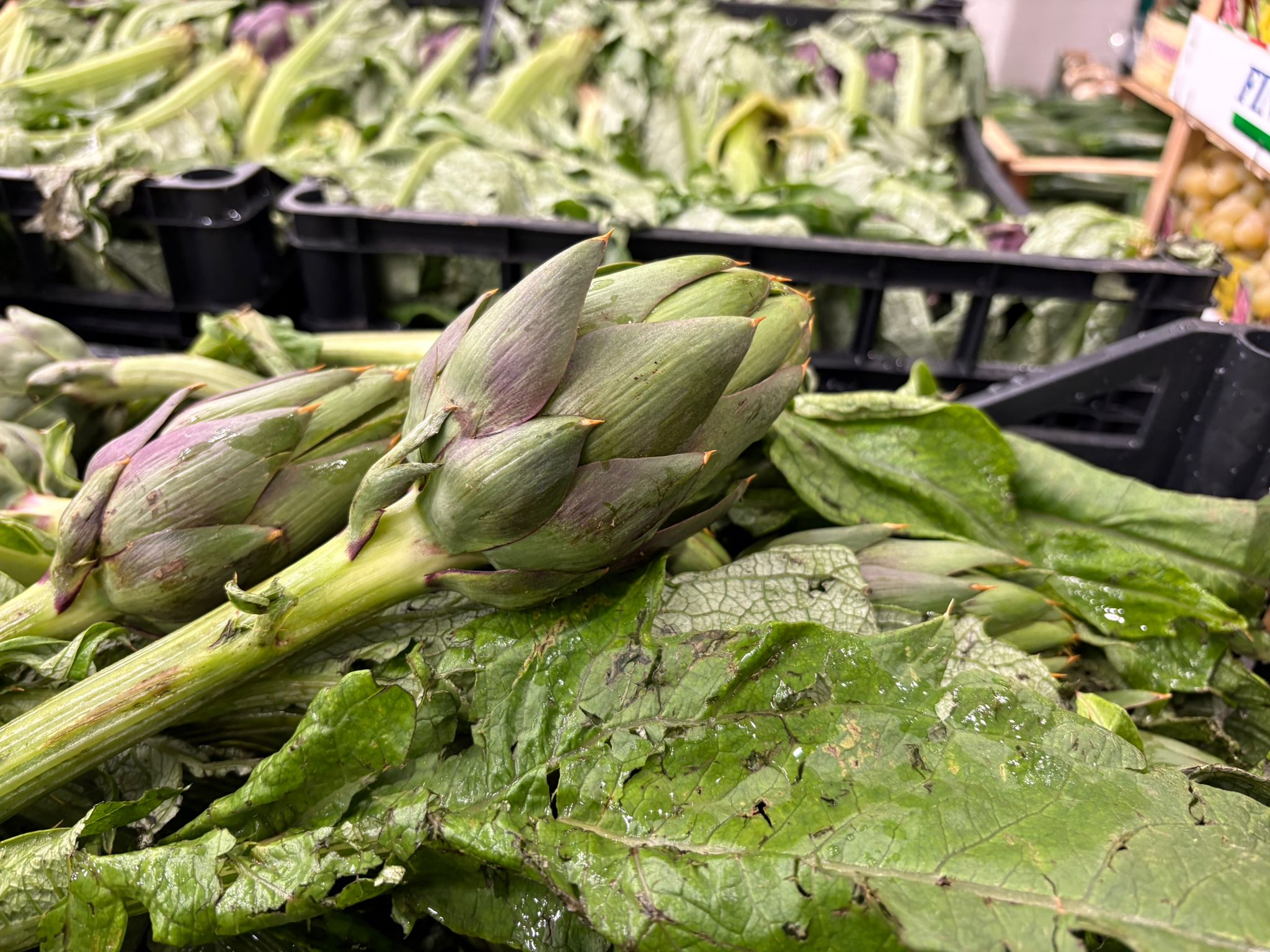 ARTICHOKES MADRIGAL X 18 PCS