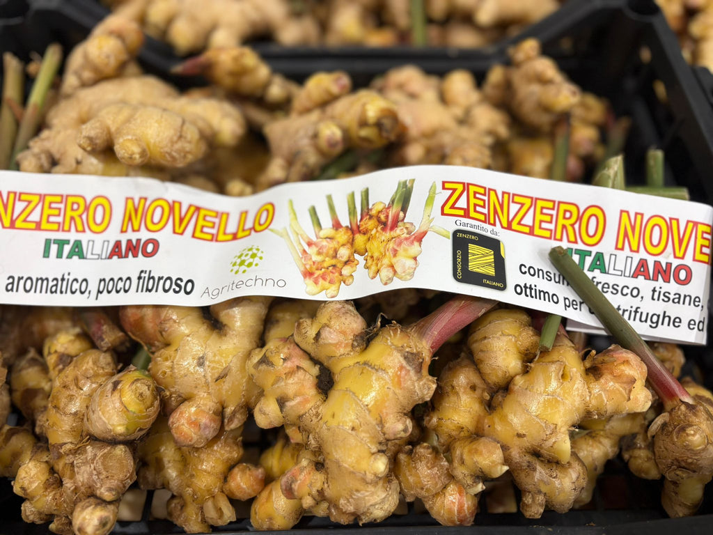 GINGER FRESH ITALIAN