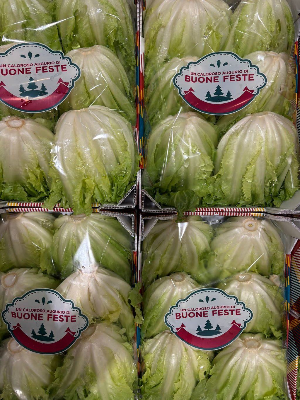 LETTUCE
