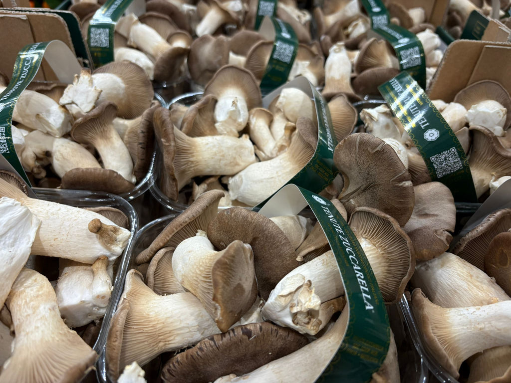 MUSHROOM CARDONCELLI