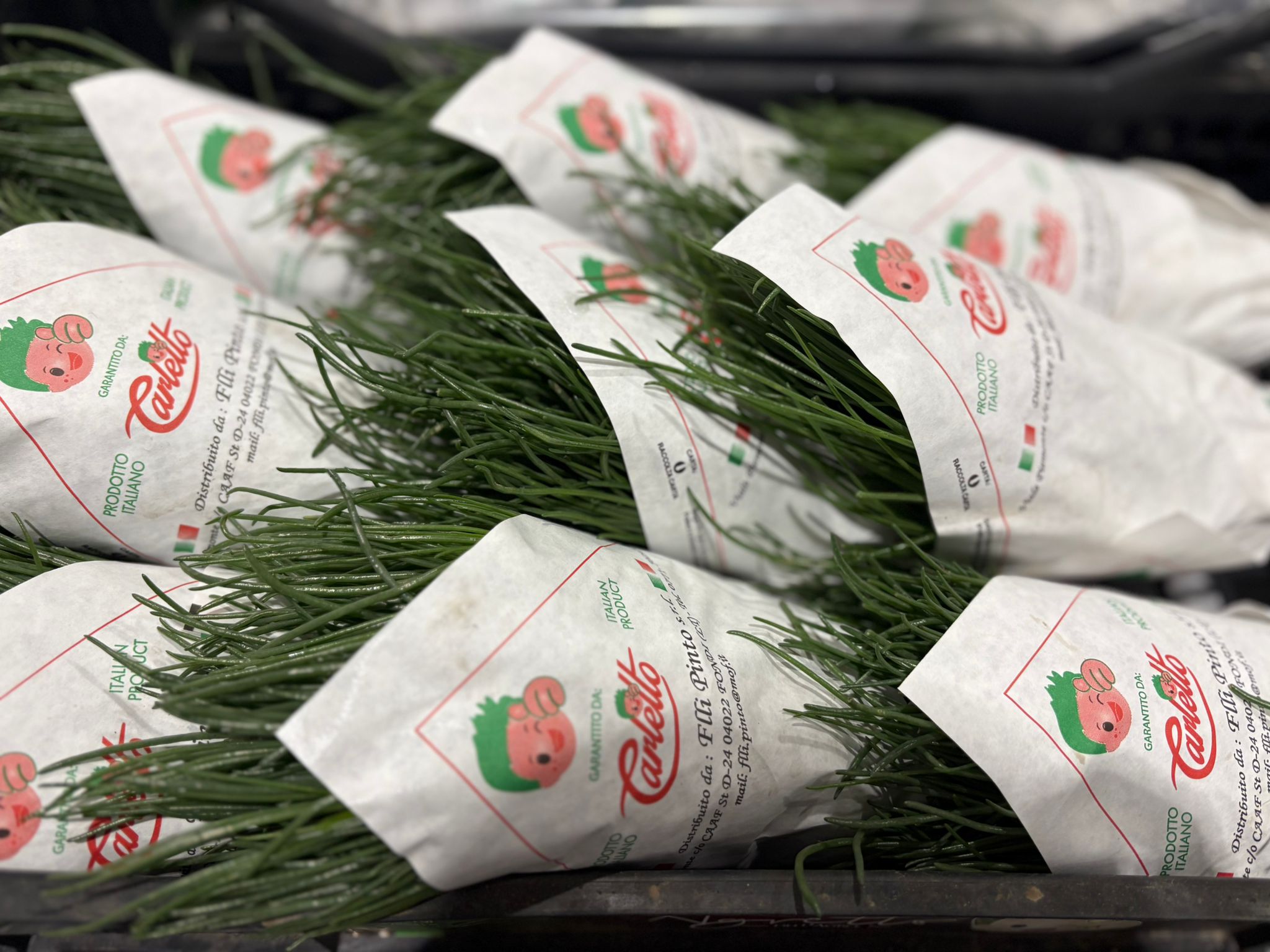 MONKS BEARD