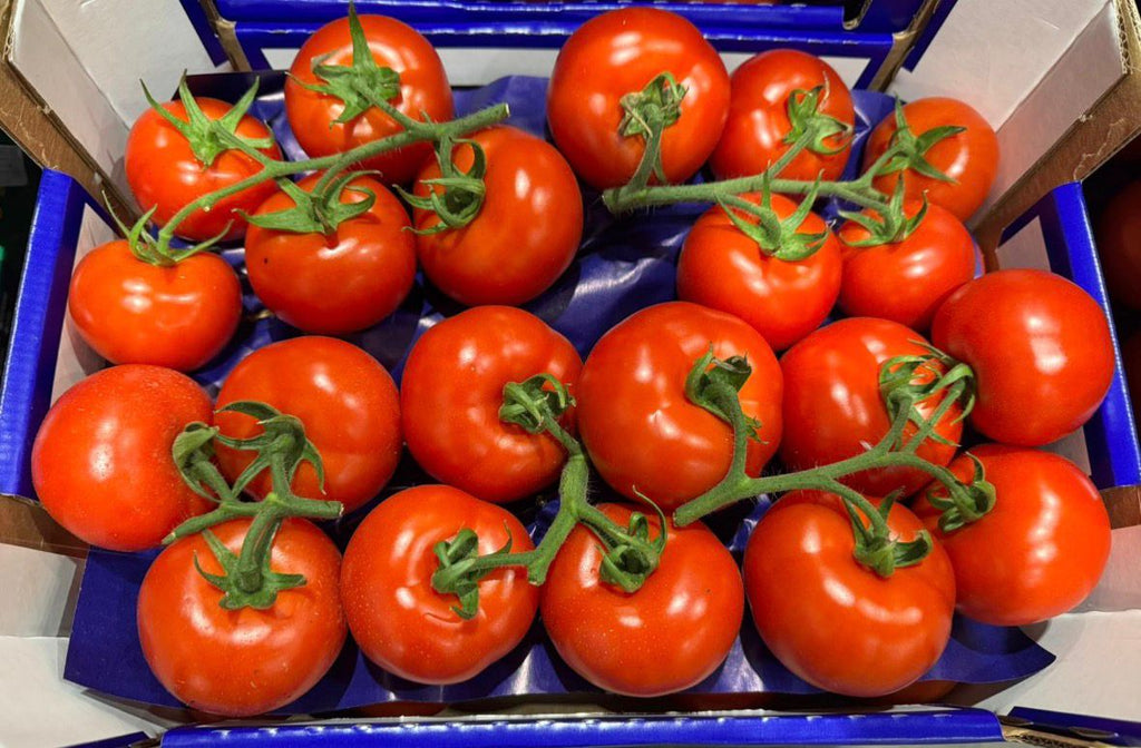 TOMATO ROUND RED ON THE VINE